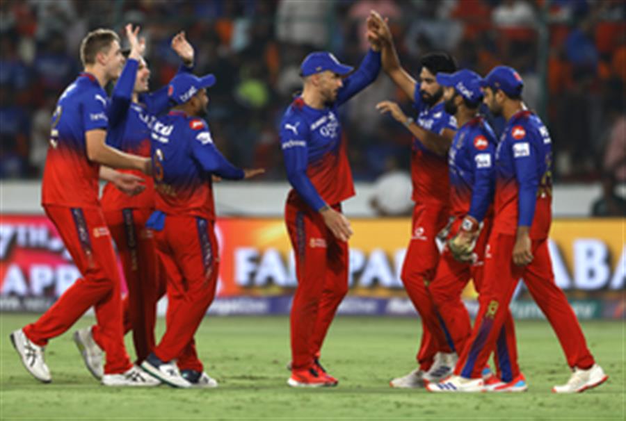 IPL 2024: Fifties by Patidar, Kohli; Green's all-round show help RCB win after six defeats (Ld)