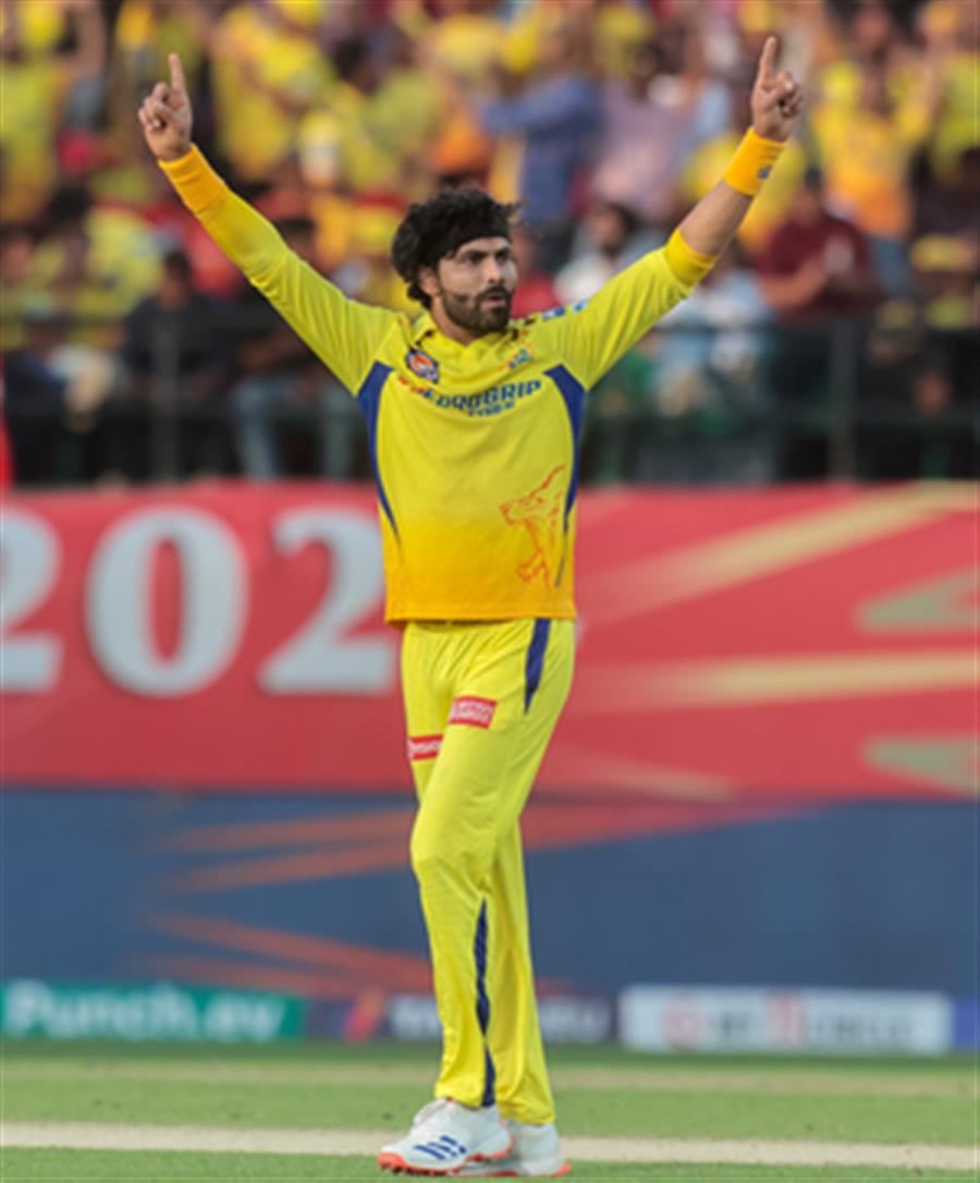IPL 2024: 'Truly Remarkable; Versatile player', Finch hails Jadeja, Narine for allrounders' clinical performances