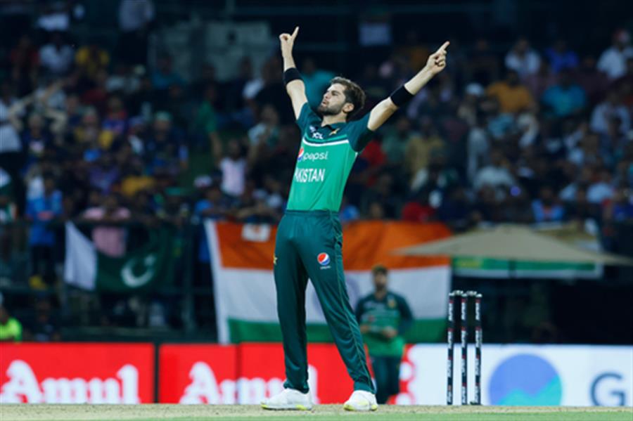 Afridi, Erasmus and Waseem in ICC Men’s Player of the Month shortlist for April