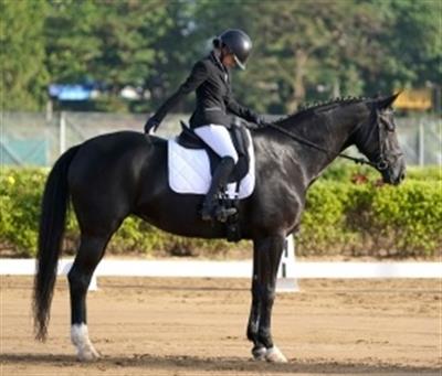 Ronit tops junior show jumping as ARC concludes Regional Equestrian League