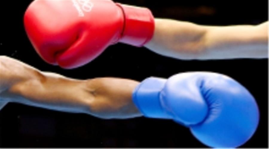 IBA files complaint to integrity unit against creation of rogue boxing organisation