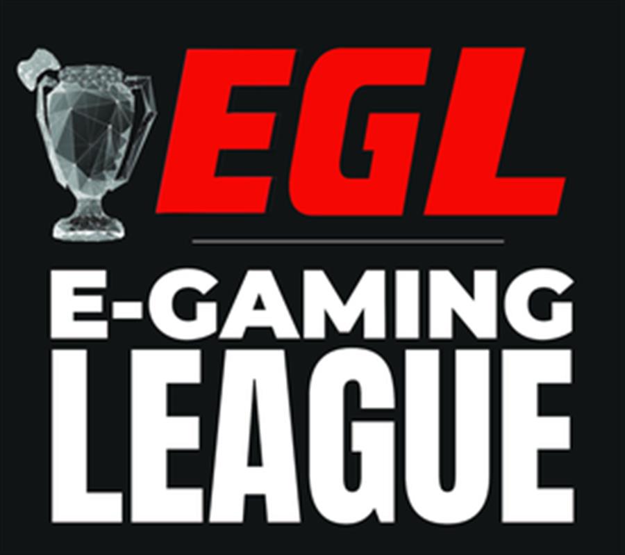 Indian gamers to compete in franchise-based E-Gaming League on global stage